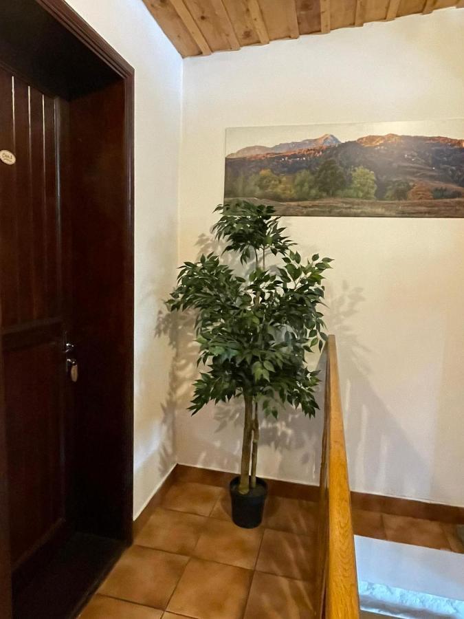 Vila Sofia بْريدال المظهر الخارجي الصورة